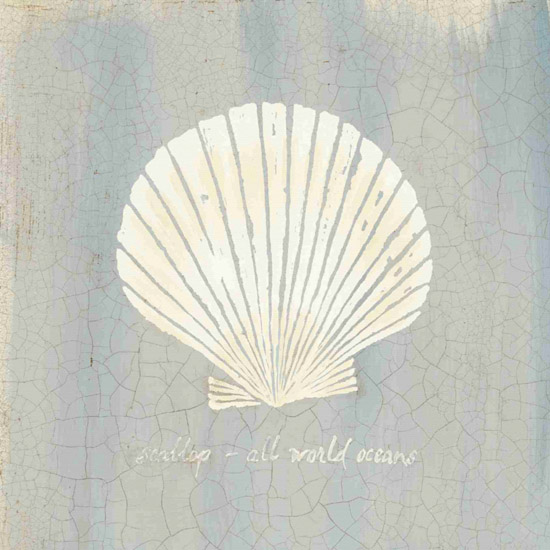 Still Life for Jahrriesnge shell-lpf00175 Still Life Jahrriesnge for shell-lpf00175