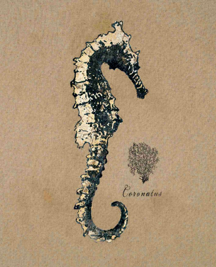 Still Life for Jahrriesnge seahorse-lpf00180 Still Life Jahrriesnge for seahorse-lpf00180