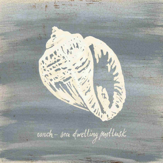 Still Life for Jahrriesnge conch-lpf00184 Still Life Jahrriesnge for conch-lpf00184