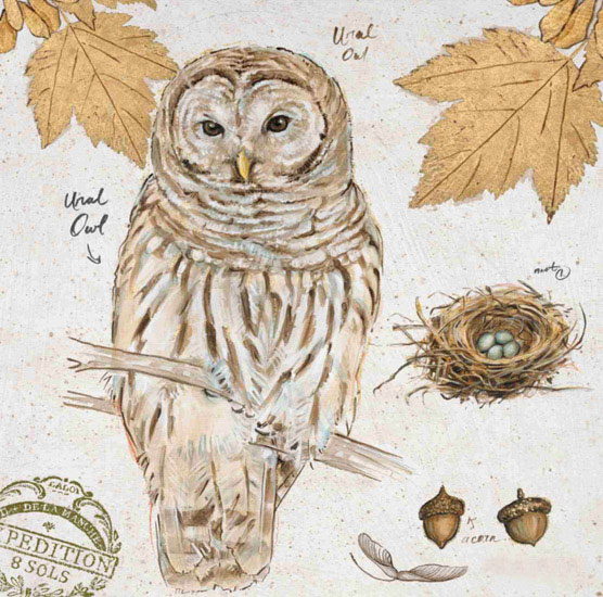 Still Life for Jahrriesnge owl-lpf00192 Still Life Jahrriesnge for owl-lpf00192