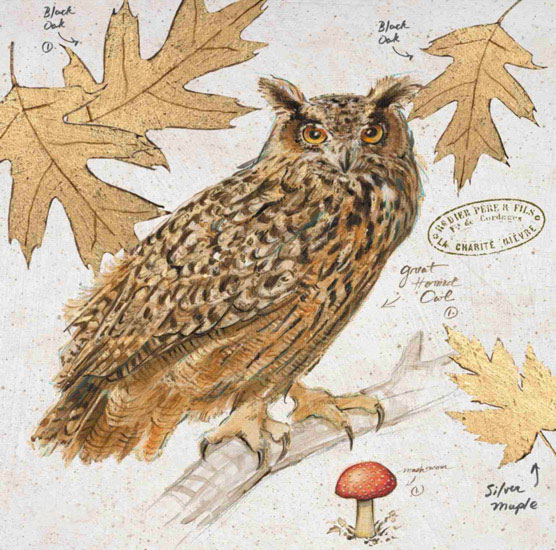 Still Life for Jahrriesnge owl-lpf00193 Still Life Jahrriesnge for owl-lpf00193