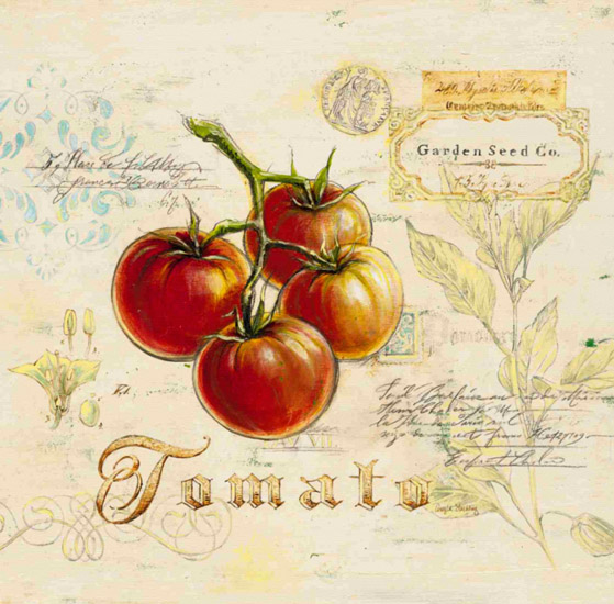 Still Life for Jahrriesnge tomato-lpf00277 Still Life Jahrriesnge for tomato-lpf00277
