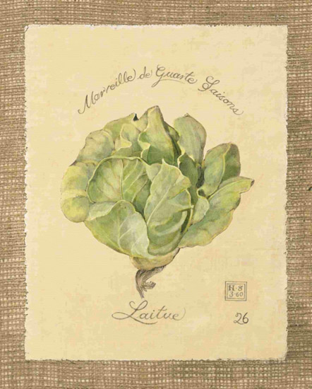 Still Life for Jahrriesnge laitue-lpf00283 Still Life Jahrriesnge for laitue-lpf00283