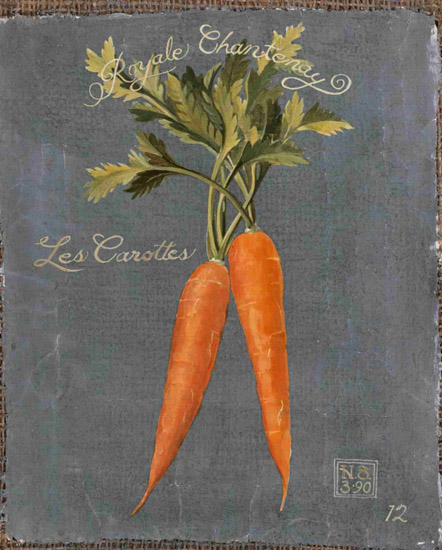 Still Life for Jahrriesnge carrot-lpf00286  Still Life Jahrriesnge  for carrot-lpf00286