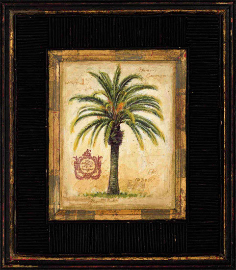 Still Life for Jahrriesnge coconut-tree-lpf00448 Still Life Jahrriesnge for coconut-tree-lpf00448