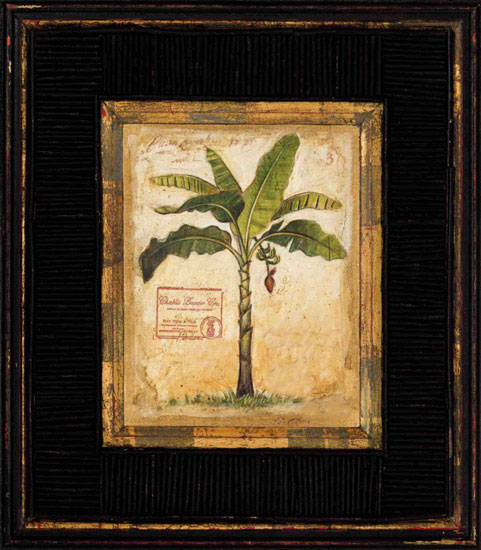 Still Life for Jahrriesnge banana-tree-lpf00450  Still Life Jahrriesnge  for banana-tree-lpf00450