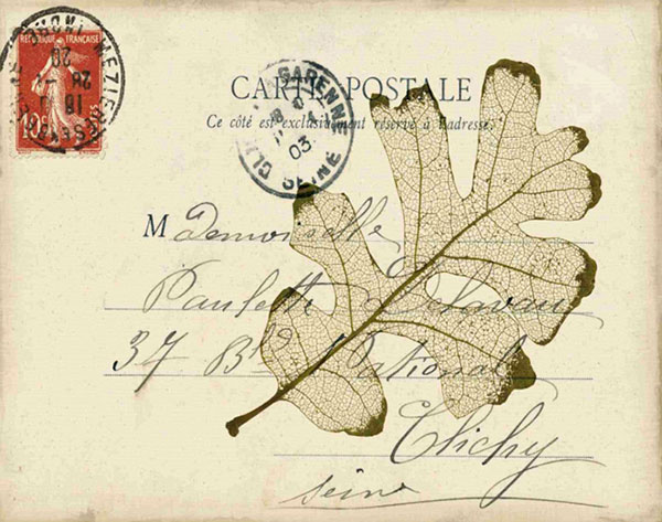 Still Life for Jahrriesnge leaf-lpf00487  Still Life Jahrriesnge  for leaf-lpf00487