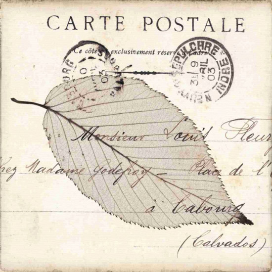 Still Life for Jahrriesnge leaf-lpf00488  Still Life Jahrriesnge  for leaf-lpf00488