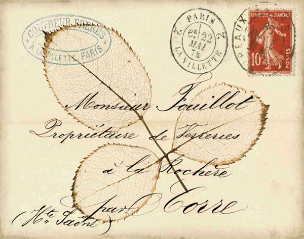 Still Life for Jahrriesnge leaf-lpf00489  Still Life Jahrriesnge  for leaf-lpf00489