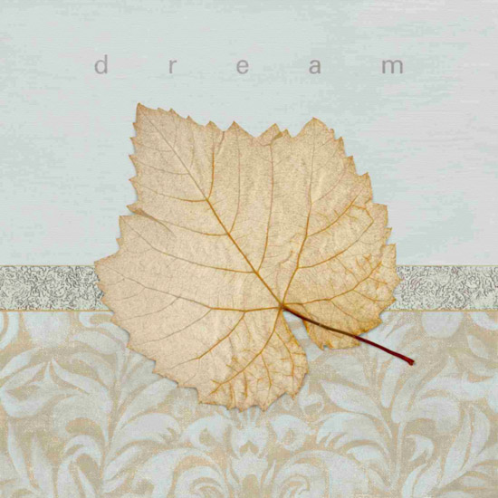 Still Life for Jahrriesnge leaf-lpf00495  Still Life Jahrriesnge  for leaf-lpf00495