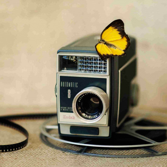 Still Life for Jahrriesnge untitle-lpf00524  Still Life Jahrriesnge  for untitle-lpf00524