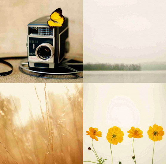 Still Life for Jahrriesnge untitle-lpf00525 Still Life Jahrriesnge for untitle-lpf00525