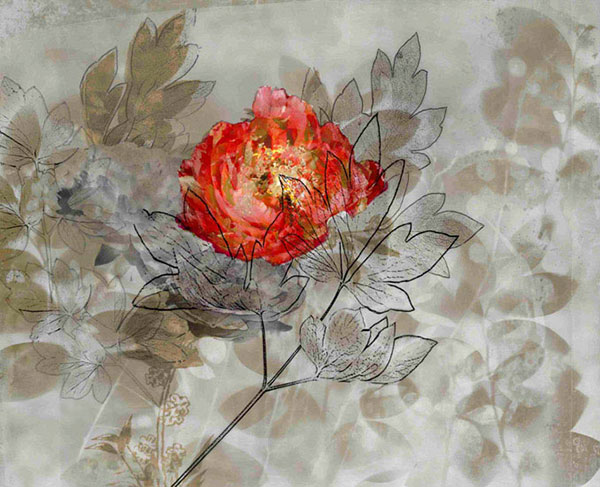 Floral for JAHRRIESNGE flower-lpf00562 Floral JAHRRIESNGE for flower-lpf00562