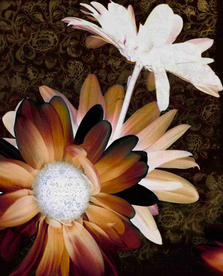 Floral for JAHRRIESNGE flower-lpf00570  Floral JAHRRIESNGE  for flower-lpf00570