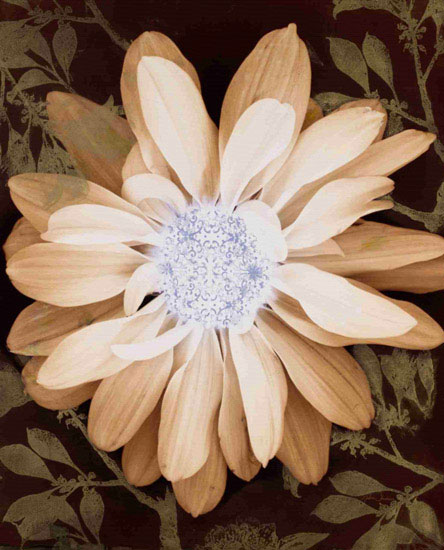 Floral for JAHRRIESNGE flower-lpf00571  Floral JAHRRIESNGE  for flower-lpf00571