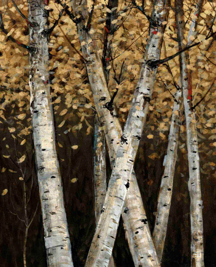 Landscape for JAHRRIESNGE tree-lpf00638 Landscape JAHRRIESNGE for tree-lpf00638