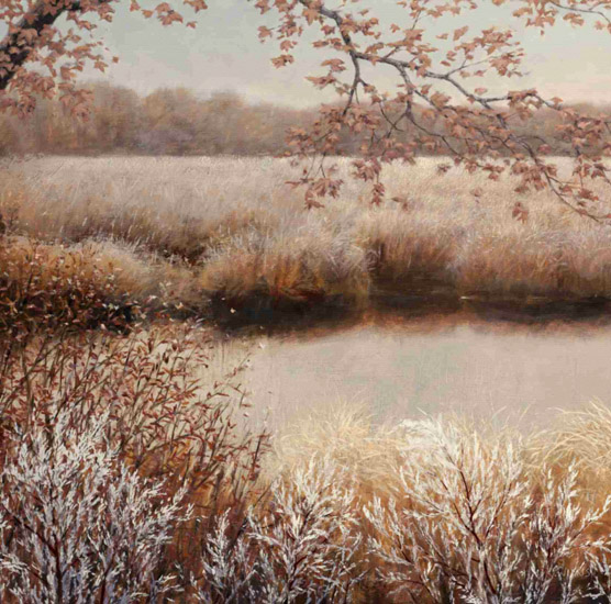 Landscape for JAHRRIESNGE pond-lpf00646 Landscape JAHRRIESNGE for pond-lpf00646