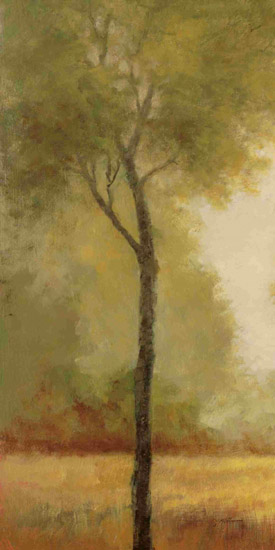 Landscape for JAHRRIESNGE tree-lpf00673 Landscape JAHRRIESNGE for tree-lpf00673