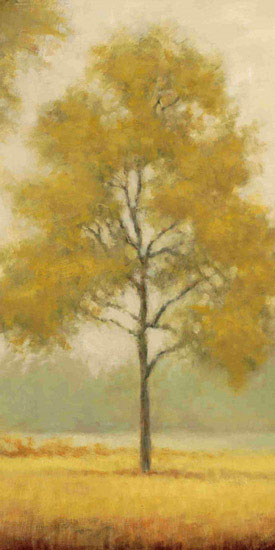 Landscape for Jahrriesnge tree-lpf00674 Landscape Jahrriesnge for tree-lpf00674