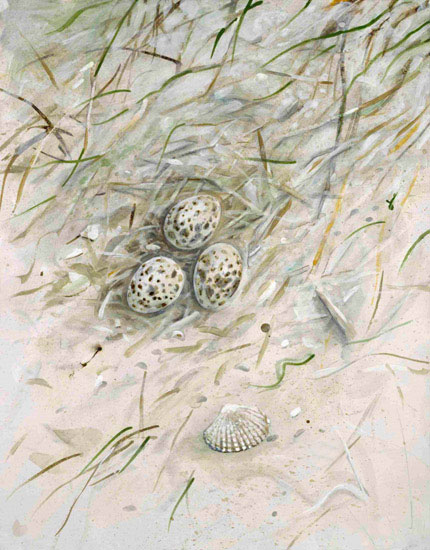 Landscape for Jahrriesnge shell-lpf00861 Landscape Jahrriesnge for shell-lpf00861