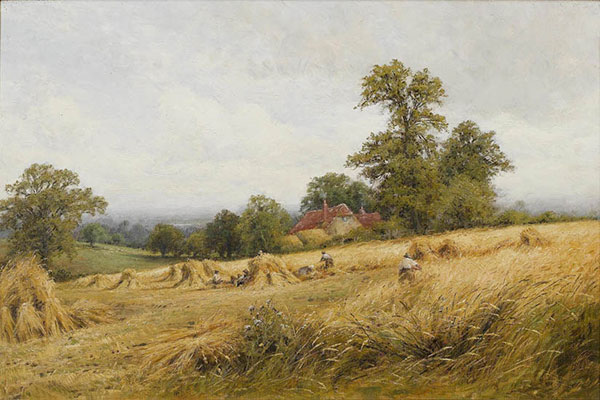 Landscape for Jahrriesnge People-who-are-collecting-in-autumn-lpf01457  Landscape Jahrriesnge  for People-who-are-collecting-in-autumn-lpf01457