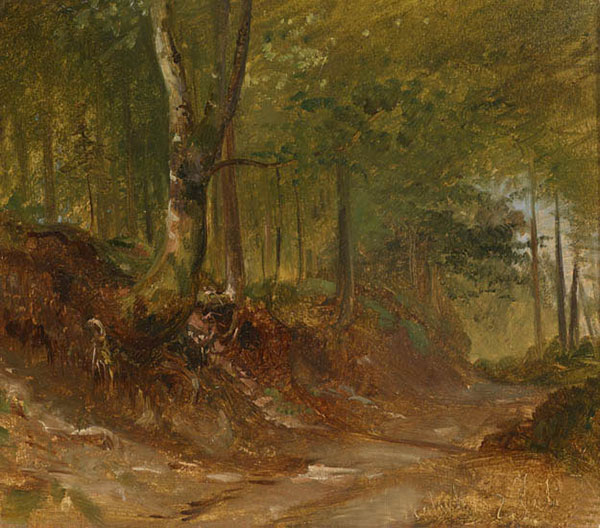 Landscape for JAHRRIESNGE forest-lpf01549 Landscape JAHRRIESNGE for forest-lpf01549