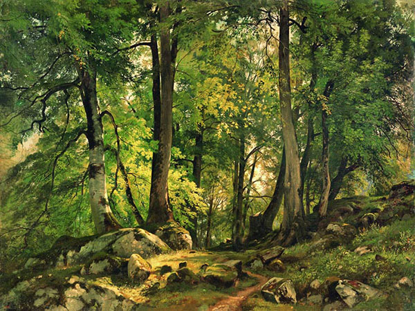 Landscape for JAHRRIESNGE tree-lpf01685 Landscape JAHRRIESNGE for tree-lpf01685