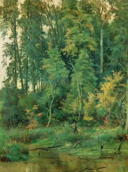 Landscape for JAHRRIESNGE tree-lpf01686 Landscape JAHRRIESNGE for tree-lpf01686