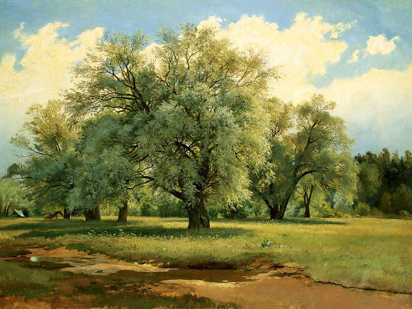 Landscape for JAHRRIESNGE tree-lpf01687 Landscape JAHRRIESNGE for tree-lpf01687