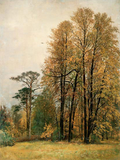 Landscape for JAHRRIESNGE tree-lpf01699 Landscape JAHRRIESNGE for tree-lpf01699