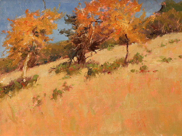 Landscape for JAHRRIESNGE tree-lpf02032 Landscape JAHRRIESNGE for tree-lpf02032