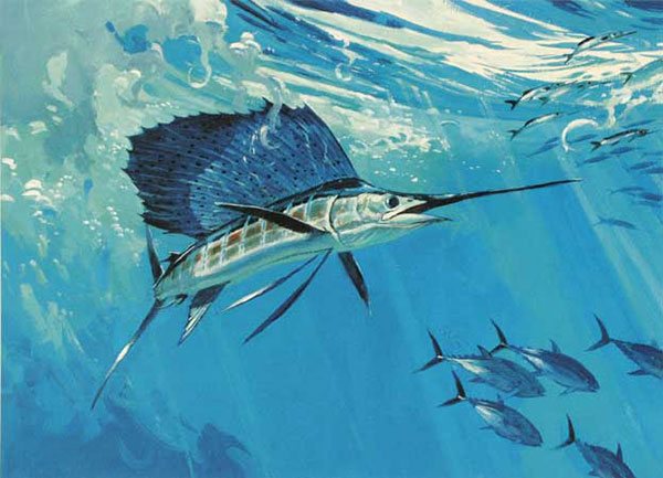 Animals for Jahrriesnge fish-lpf02519  Animals Jahrriesnge  for fish-lpf02519