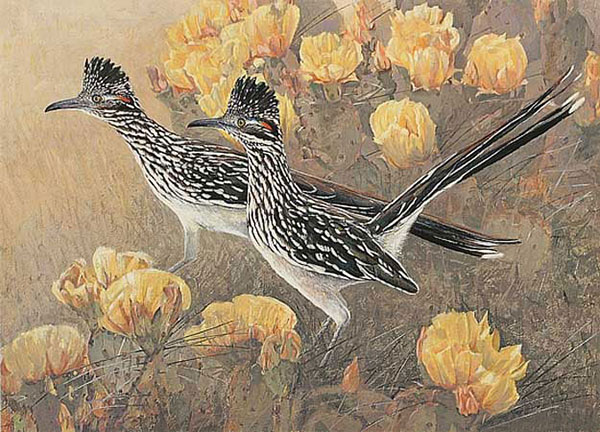 Animals for Jahrriesnge Walking-ostrich-lpf02524  Animals Jahrriesnge  for Walking-ostrich-lpf02524