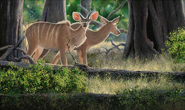 Animals Jahrriesnge  for antelope-lpf02532 