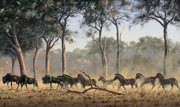 Animals for Jahrriesnge Plain-zebra-lpf02533 Animals Jahrriesnge for Plain-zebra-lpf02533