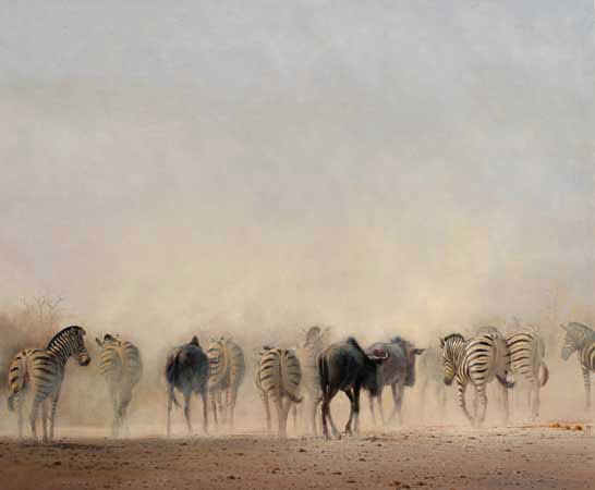 Animals Jahrriesnge  for zebra-lpf02534 