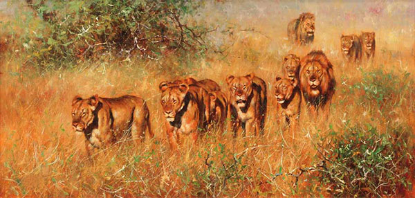 Animals for Jahrriesnge lion-lpf02536  Animals Jahrriesnge  for lion-lpf02536