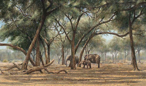 Animals for Jahrriesnge elephant-lpf02557  Animals Jahrriesnge  for elephant-lpf02557