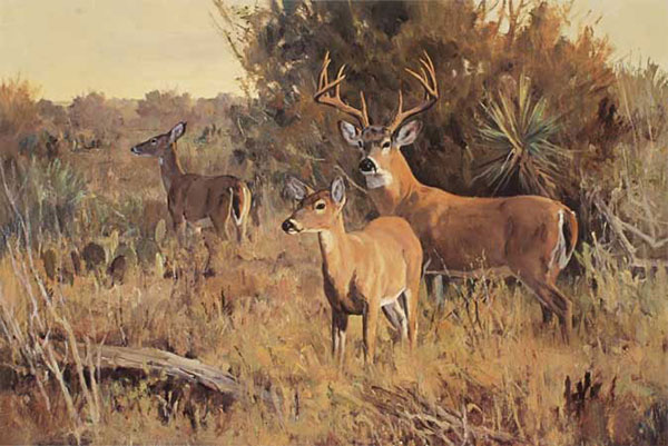 Animals for Jahrriesnge deers-lpf02559  Animals Jahrriesnge  for deers-lpf02559