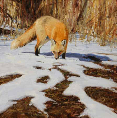 Animals for Jahrriesnge fox-lpf02566  Animals Jahrriesnge  for fox-lpf02566