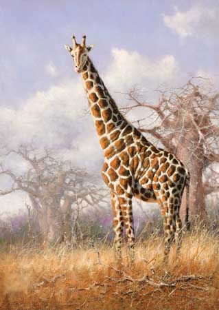 Animals for Jahrriesnge giraffe-lpf02571  Animals Jahrriesnge  for giraffe-lpf02571