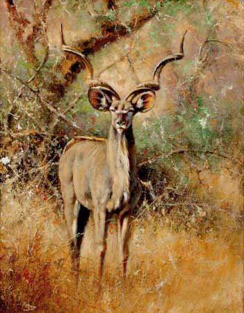 Animals for Jahrriesnge deer-lpf02573  Animals Jahrriesnge  for deer-lpf02573