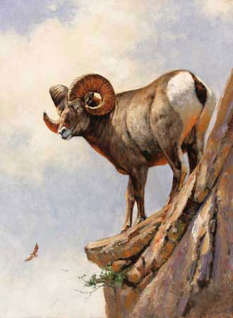 Animals for Jahrriesnge bighorn-sheep-lpf02574  Animals Jahrriesnge  for bighorn-sheep-lpf02574
