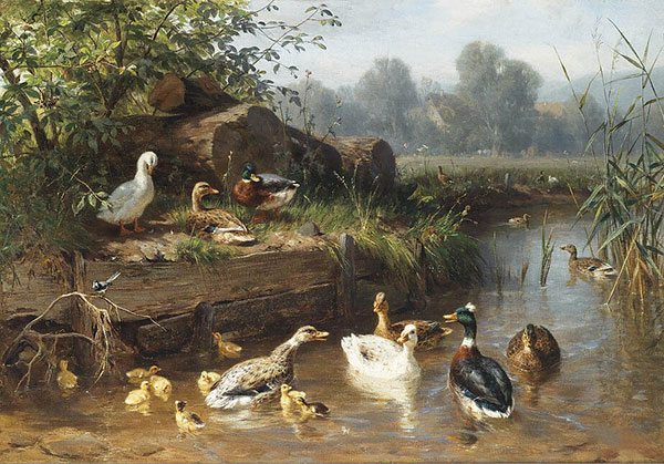 Animals for Jahrriesnge duck-lpf02588 Animals Jahrriesnge for duck-lpf02588