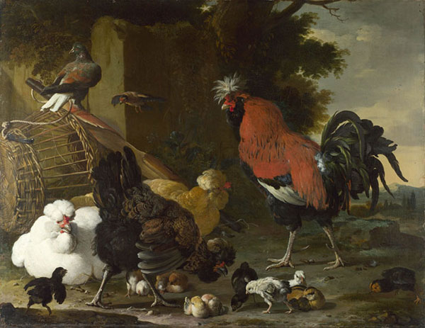 Animals for Jahrriesnge chicken-lpf02599  Animals Jahrriesnge  for chicken-lpf02599