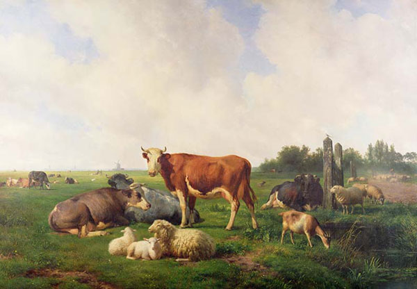 Animals for Jahrriesnge simmental-lpf02602 Animals Jahrriesnge for simmental-lpf02602