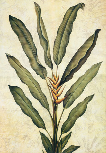 Floral Jahrriesnge  for flowers lpf04432 