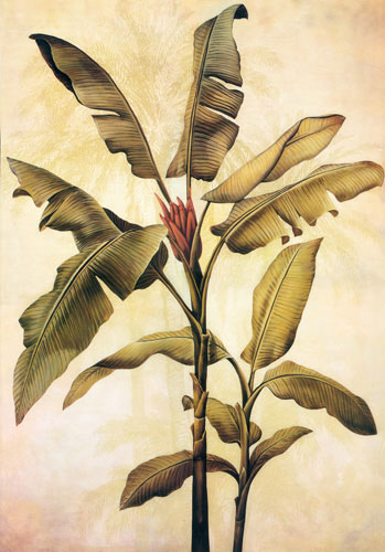 Floral for JAHRRIESNGE flower lpf04434 Floral JAHRRIESNGE for flower lpf04434