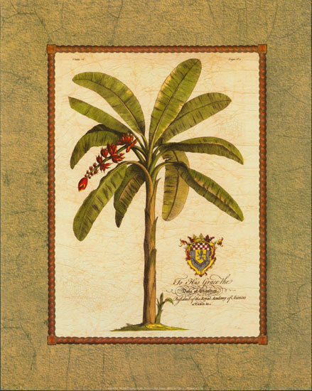 Floral for JAHRRIESNGE flower lpf04436 Floral JAHRRIESNGE for flower lpf04436