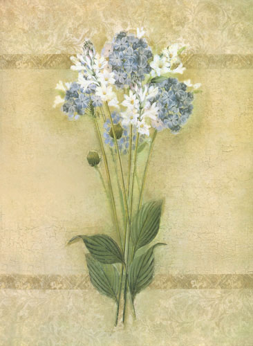 Floral for JAHRRIESNGE flower lpf04448 Floral JAHRRIESNGE for flower lpf04448